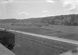 bilder, fotografi, negativ