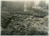 påsiktsbild, bilder, fotografi