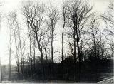 fotografi, bilder, påsiktsbild