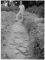 bilder, fotografi, påsiktsbilder, photograph, archeological excavation