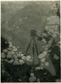 fotografi, påsiktsbilder, bilder