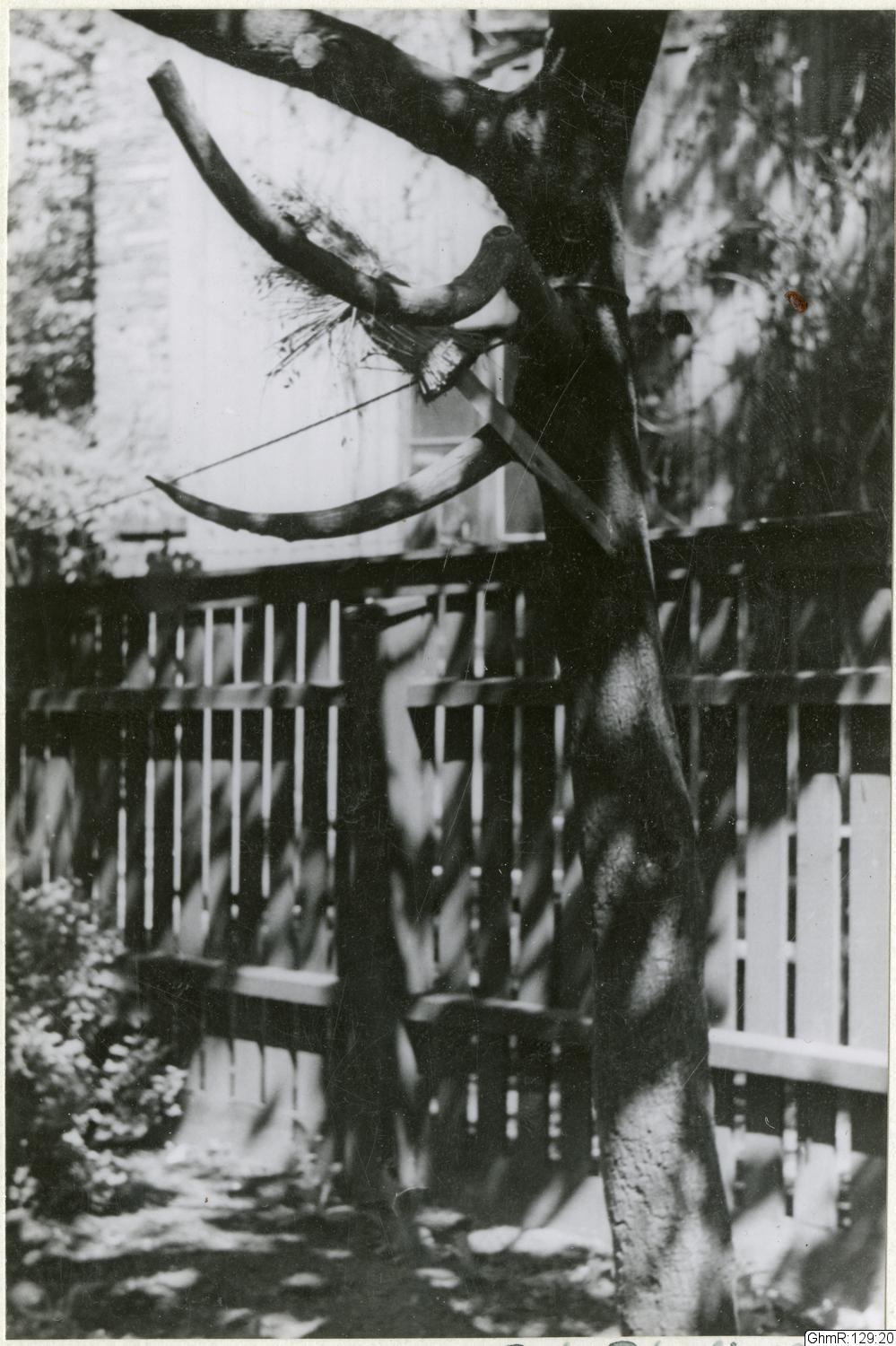Otto Thulin, påsiktsbild, fotografi, bilder