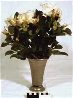 link to gallery
