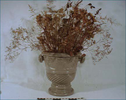link to gallery