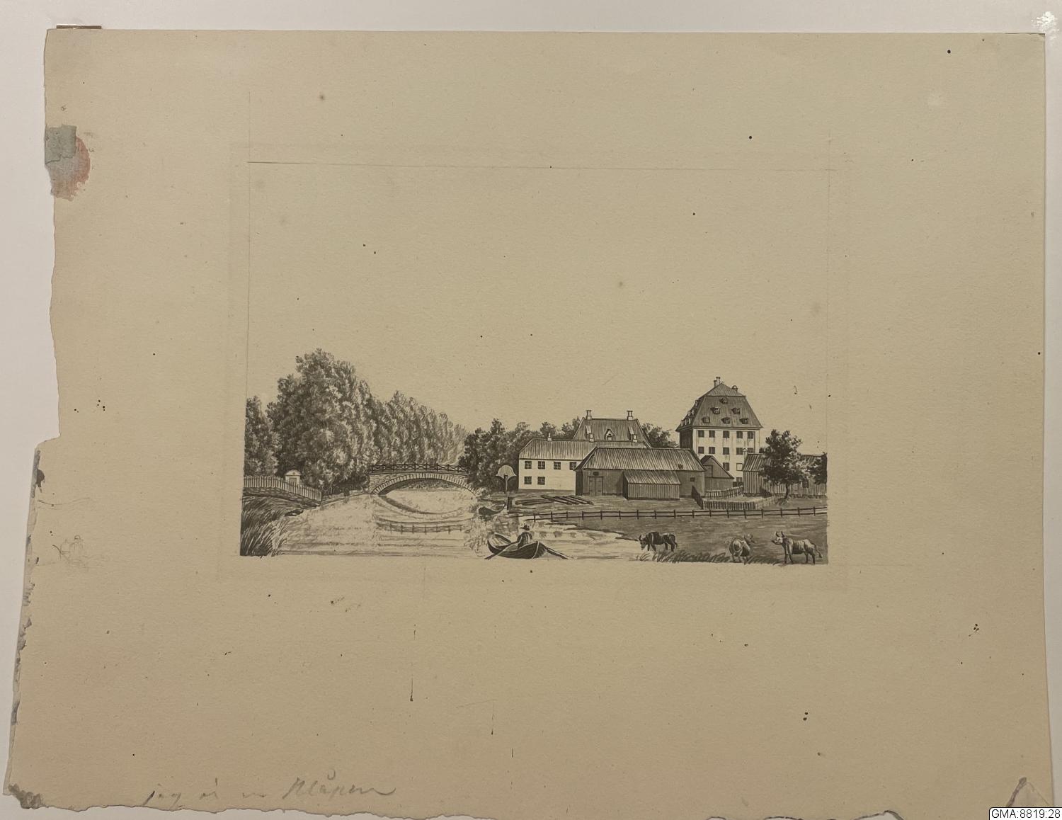 sepiagravyr, bilder, teckning